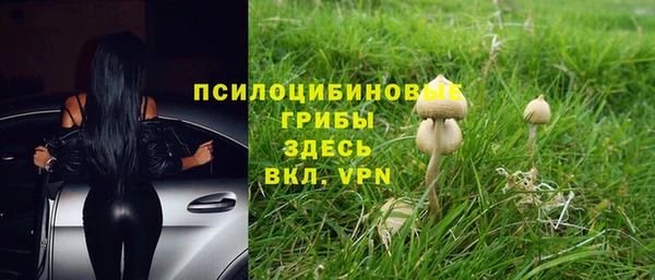 ALPHA-PVP Вязьма