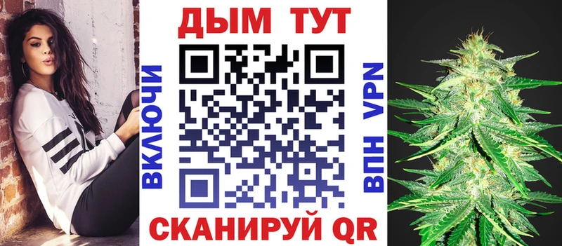 Бошки Шишки план Терек